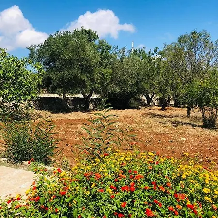Séjour à la campagne Trullo Molillo